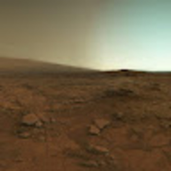 Meet your Posher, Aimee - Picture 1 of 1